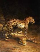 Jacques-Laurent Agasse Two Leopards Lying in the Exeter Sweden oil painting artist